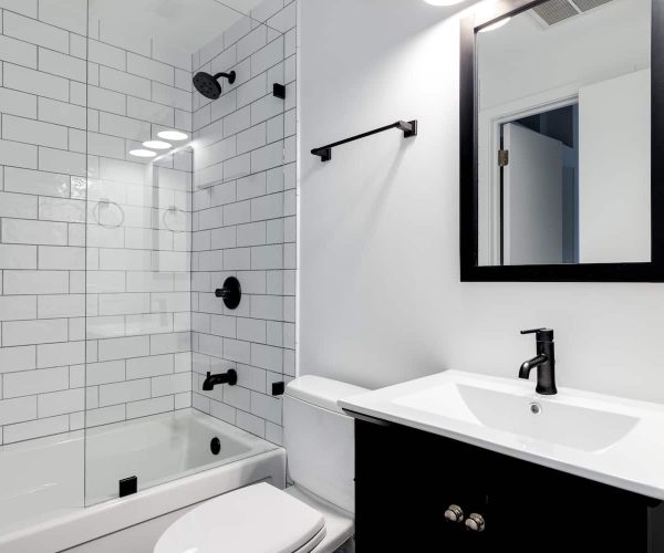 modern-bathroom-ideas-black-and-white